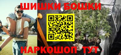 шишки Донской