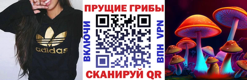 Галлюциногенные грибы мухоморы  Нарткала 