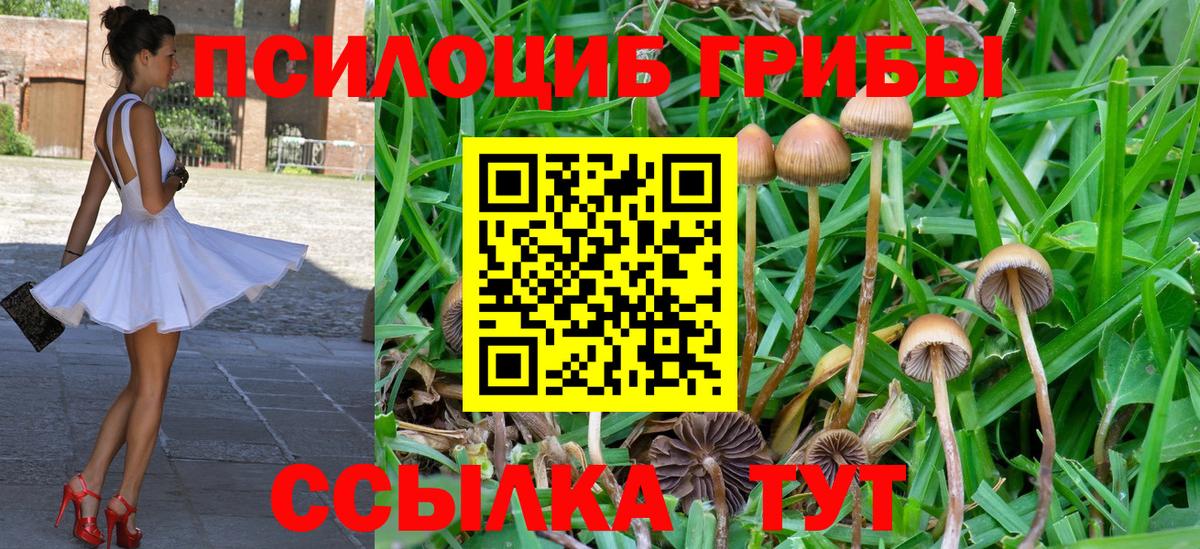 Псилоцибиновые грибы прущие грибы  где найти наркотики  Нарткала  Вход с VPN 