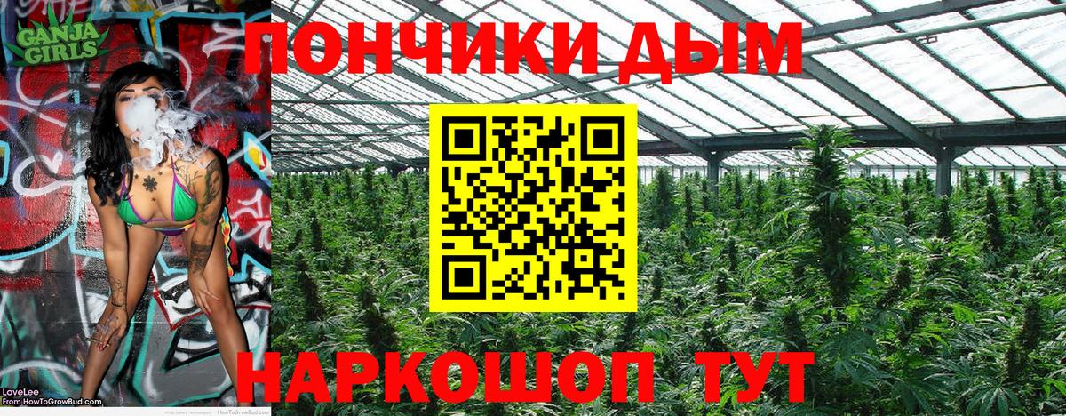 Каннабис сатива Нарткала